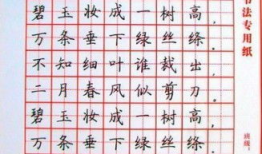 硬笔书法视频,一笔一划展现汉字之美